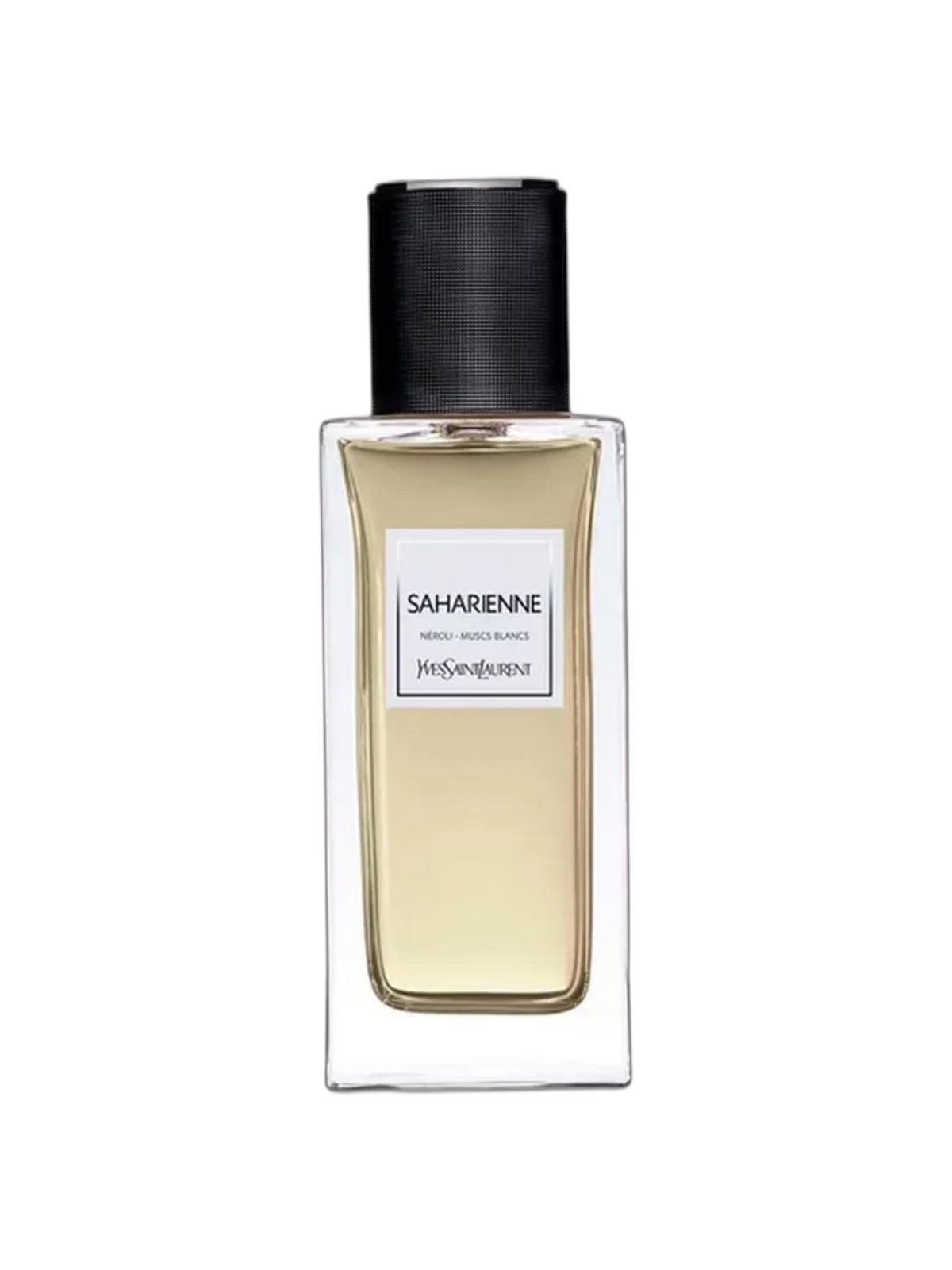 YVES SAINT LAURENT PARFUMS - 50ML/80ML/90ML/100ML/125ML - OVP