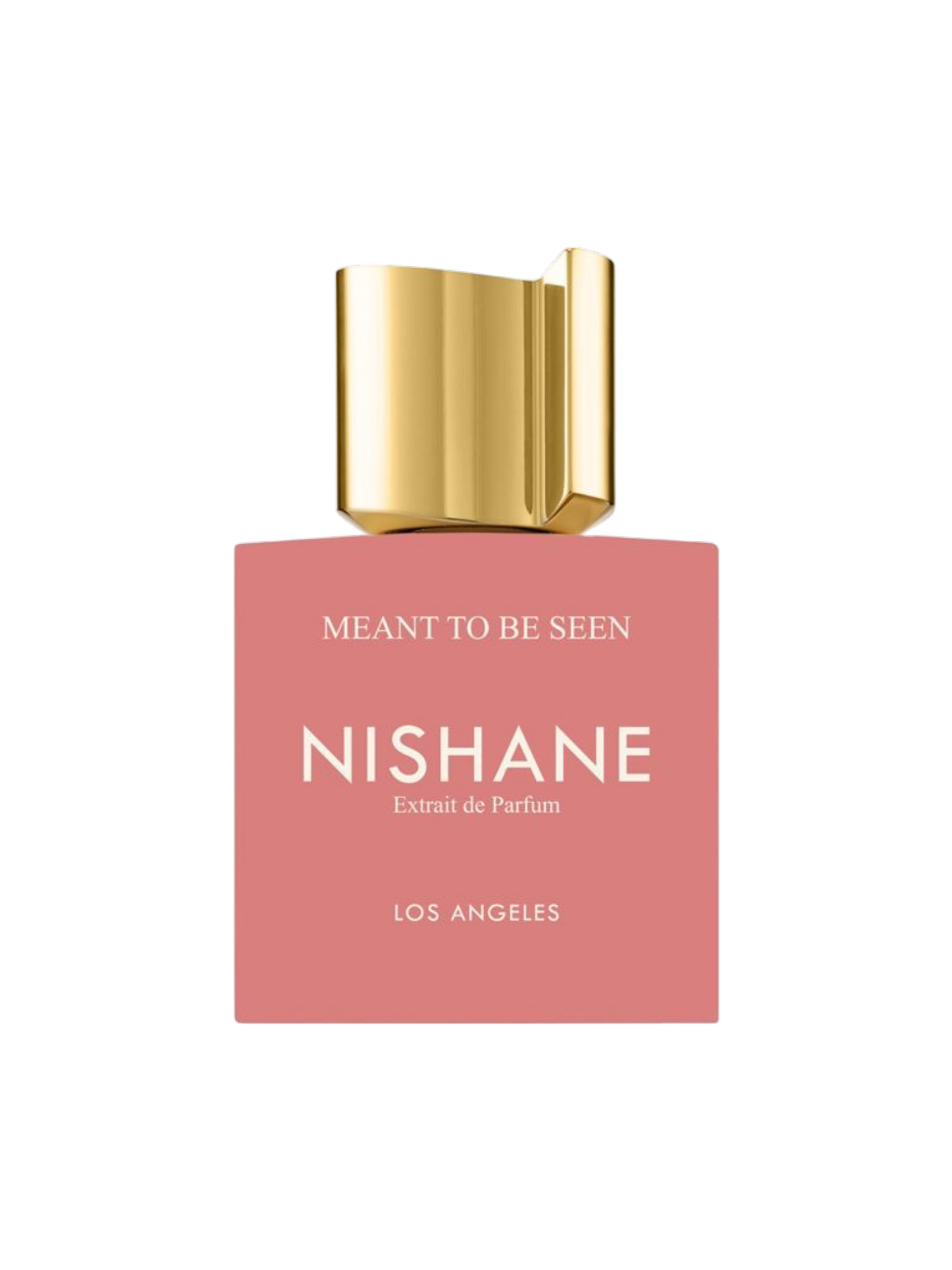NISHANE PARFUMS - 100ML - OVP HIGH QUALITY 1:1