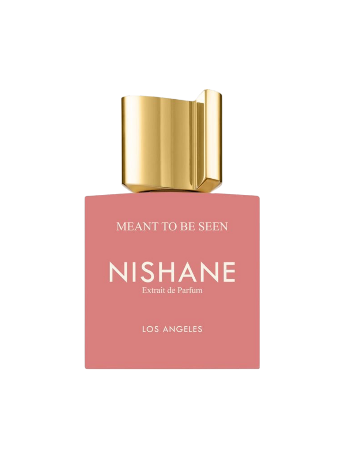 NISHANE PARFUMS - 100ML - OVP