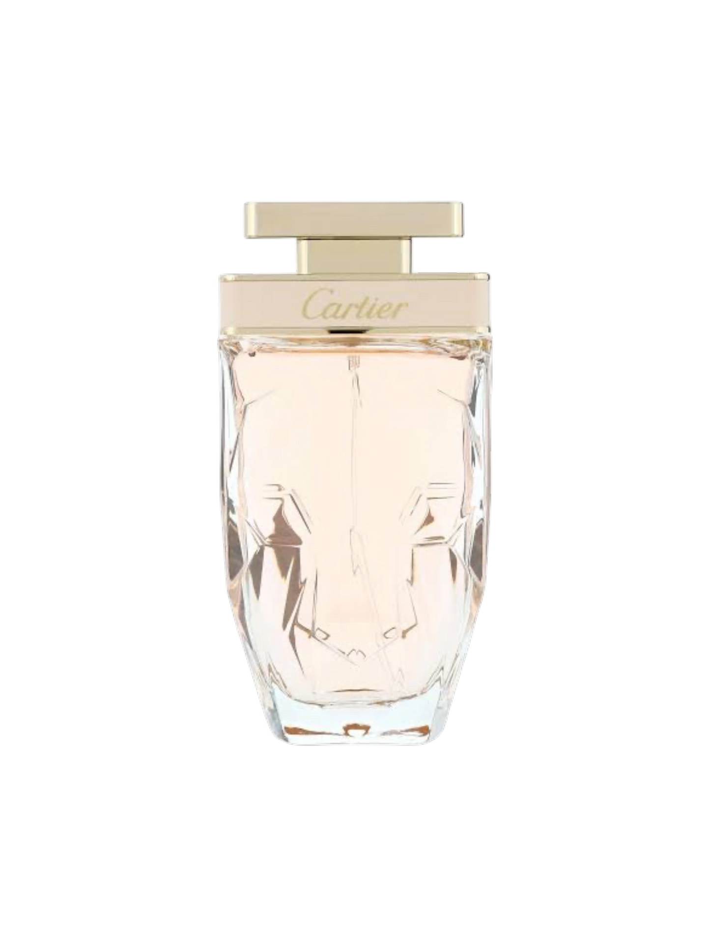 CAETIER PARFUMS - 75ML/100ML - OVP HIGH QUALITY 1:1